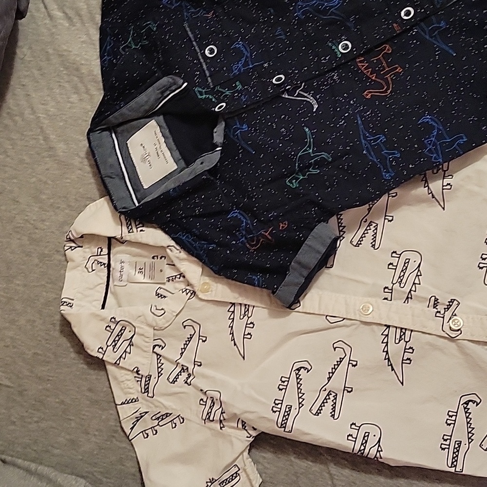 Two Short Sleeve Button Downs